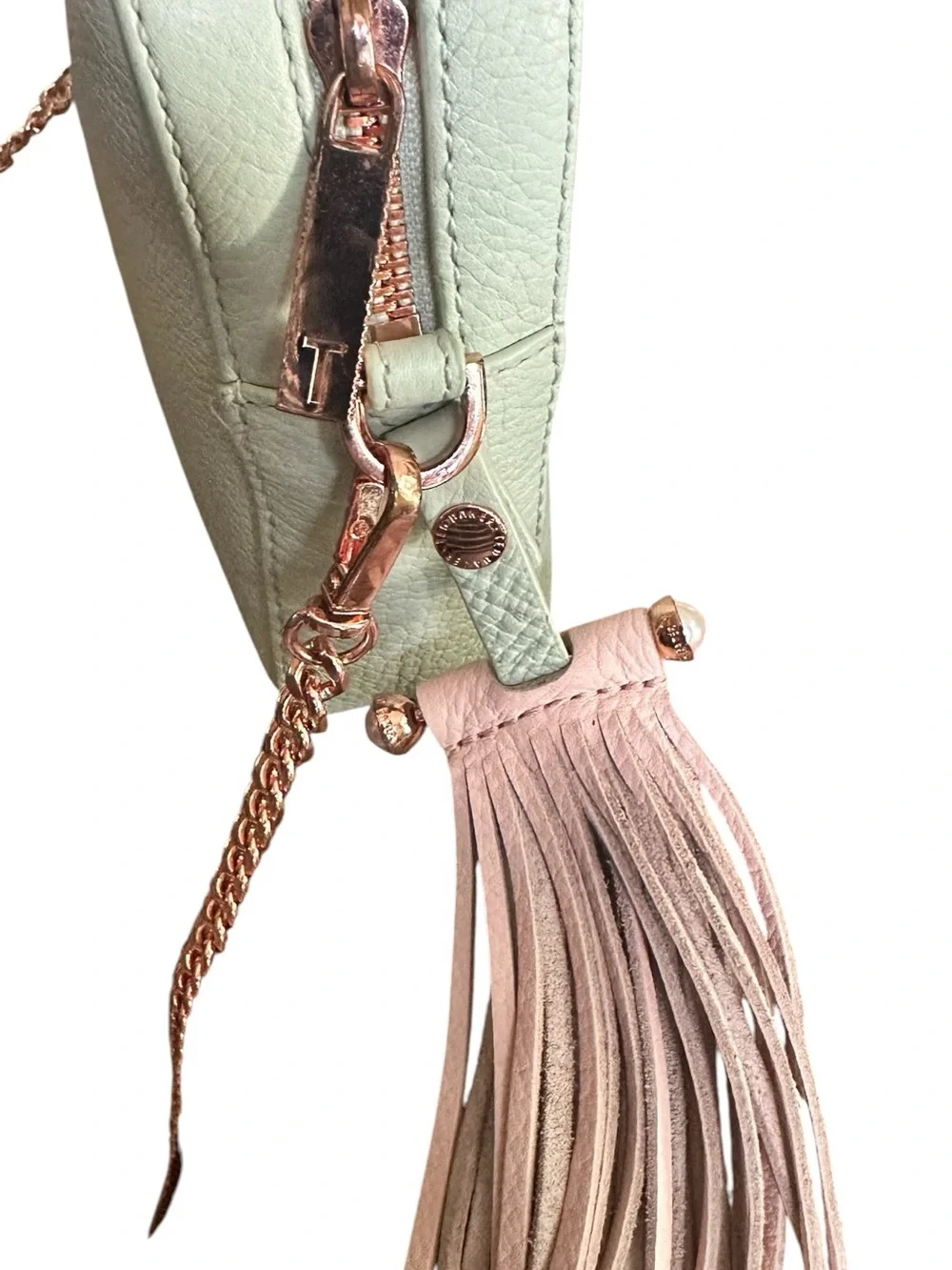 Ted Baker Mint Green Leather Camera Crossbody Rose Gold Tassel Bag